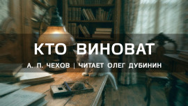 Аудиокнига Кто виноват?