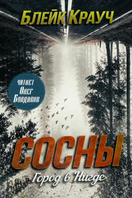 Аудиокнига Город в Нигде