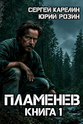 Аудиокнига Пламенев. Книга 1