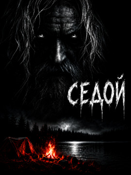 Аудиокнига Седой