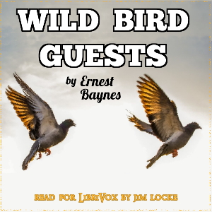 Audiobook Wild Bird Guests