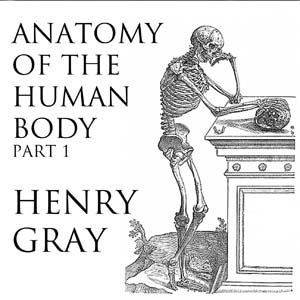 Аудіокнига Anatomy of the Human Body, Part 1 (Gray's Anatomy)