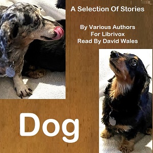 Audiobook Dog: A Selection of Stories