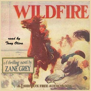 Audiobook Wildfire