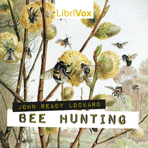 Аудіокнига Bee Hunting
