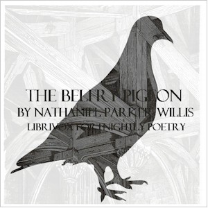Аудіокнига The Belfry Pigeon