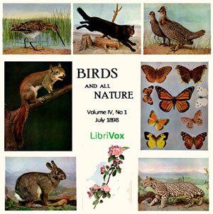 Аудіокнига Birds and All Nature, Vol. IV, No 1, July 1898