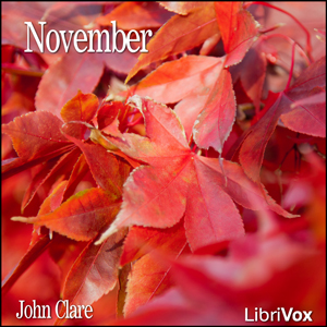 Audiobook November