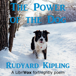 Audiobook The Power of the Dog
