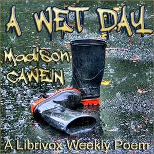 Audiobook A Wet Day
