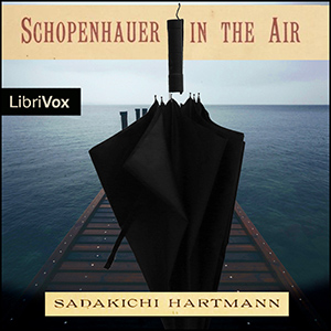 Аудіокнига Schopenhauer in the Air
