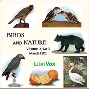 Аудіокнига Birds and Nature, Vol. IX, No 3, March 1901