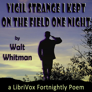 Audiobook Vigil Strange I Kept on the Field One Night