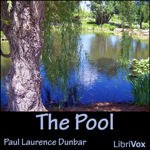 Audiobook The Pool
