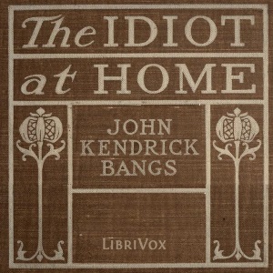 Audiobook The Idiot at home