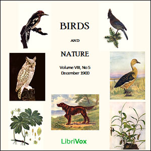 Audiobook Birds and Nature, Vol. VIII, No 5, December 1900
