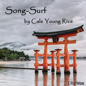 Аудіокнига Song-Surf