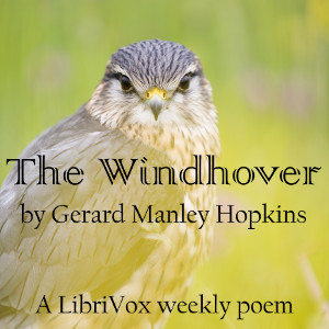 Аудіокнига The Windhover