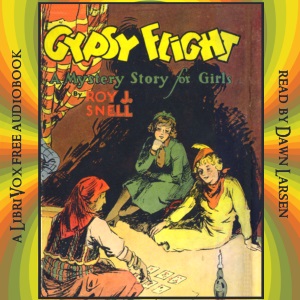 Аудіокнига Gypsy Flight