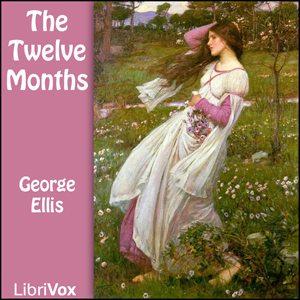 Аудіокнига The Twelve Months