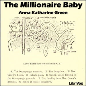 Audiobook The Millionaire Baby
