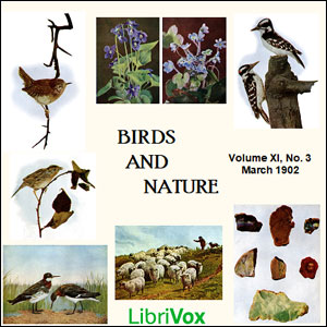 Audiobook Birds and Nature, Vol. XI, No 3, March 1902