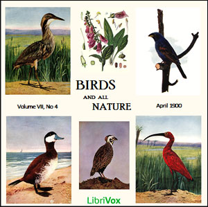 Аудіокнига Birds and All Nature, Vol. VII, No 4, April 1900