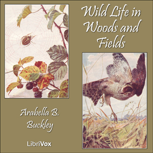 Audiobook Wild Life in Woods and Fields