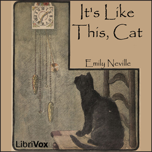 Audiobook It's Like This, Cat (Version 2)