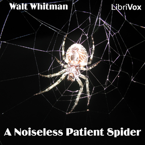 Audiobook A Noiseless Patient Spider