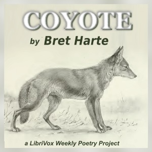 Аудіокнига Coyote