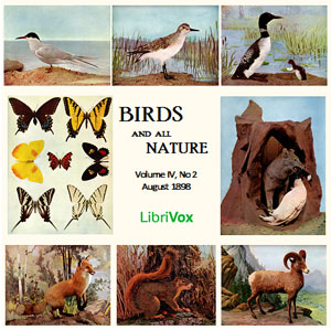Аудіокнига Birds and All Nature, Vol. IV, No 2, August 1898
