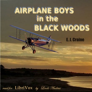 Аудіокнига Airplane Boys in the Black Woods