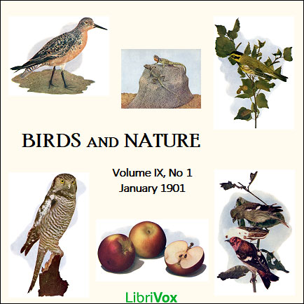 Audiobook Birds and Nature, Vol. IX, No 1, January 1901