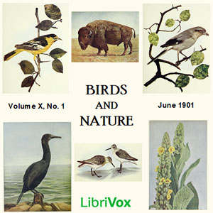 Audiobook Birds and Nature, Vol. X, No 1, June 1901