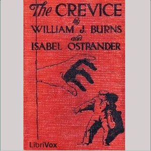 Audiobook The Crevice