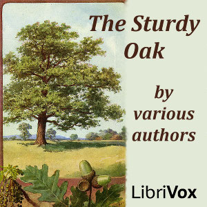 Audiobook The Sturdy Oak