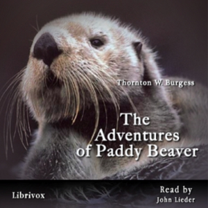 Audiobook The Adventures of Paddy Beaver