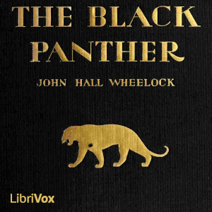 Аудіокнига The Black Panther