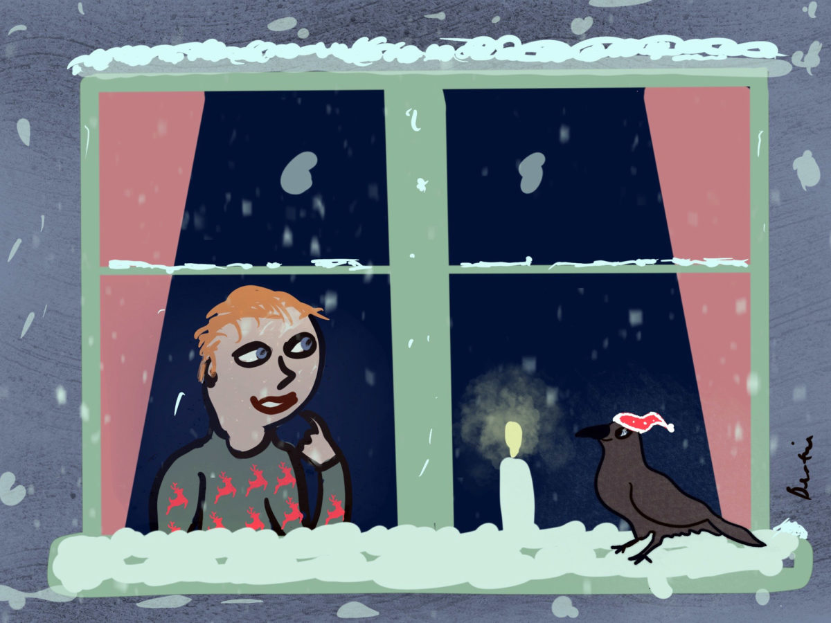 Аудіокнига Birdy and the Christmas Power Cut