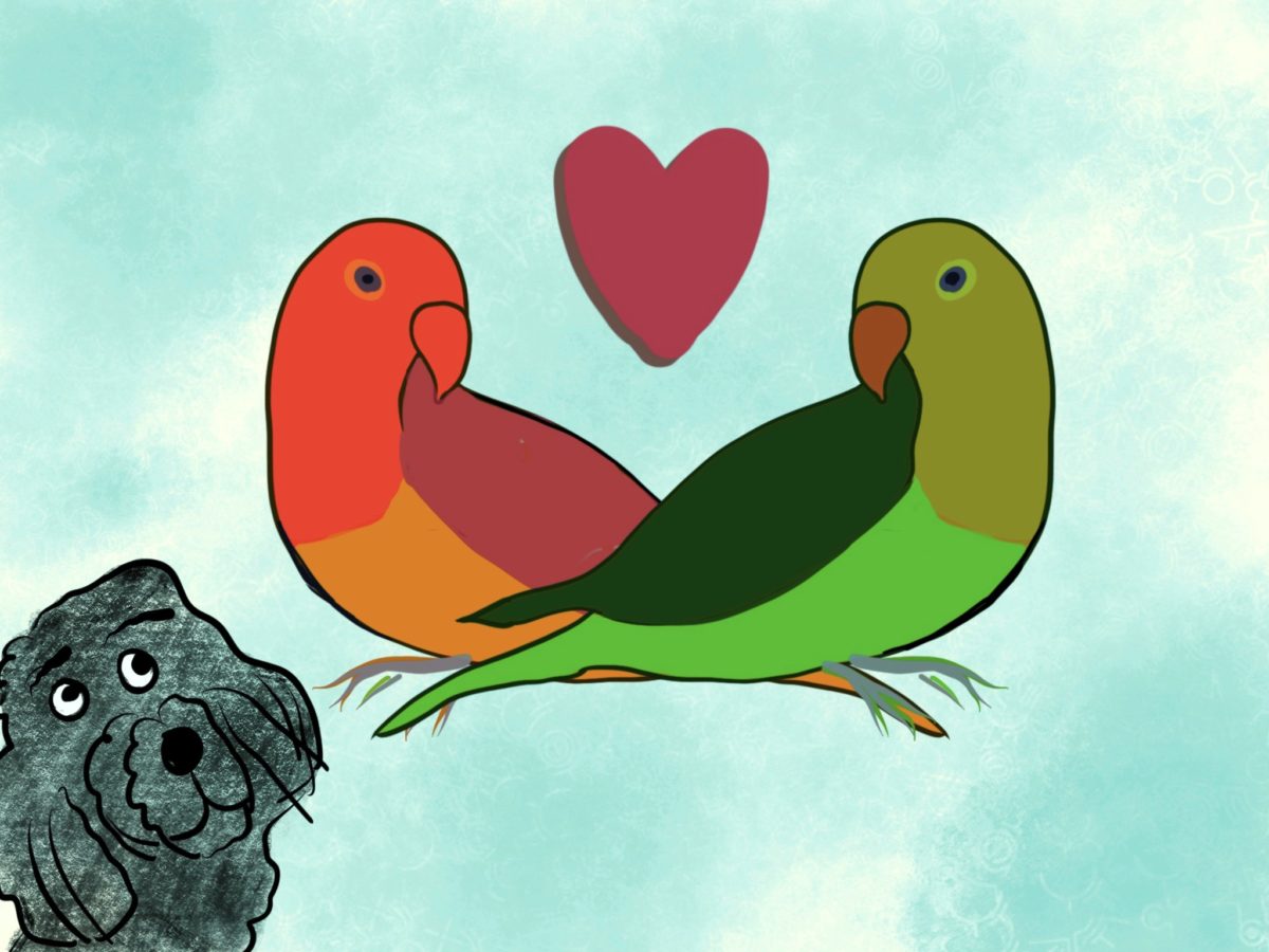 Аудіокнига Astropup and the Parrot in Love