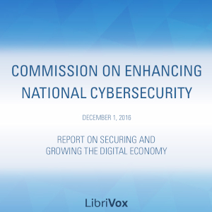 Аудіокнига Report on Securing and Growing the Digital Economy