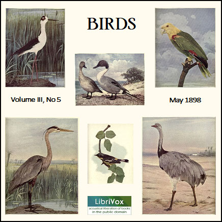 Аудіокнига Birds, Vol. III, No 5, May 1898