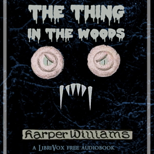 Audiobook The Thing in the Woods