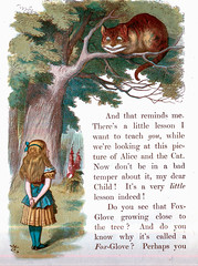 Аудіокнига Alice in Wonderland Chapter 6