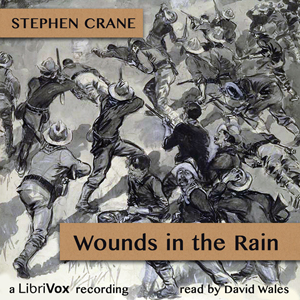 Аудіокнига Wounds In The Rain; War Stories