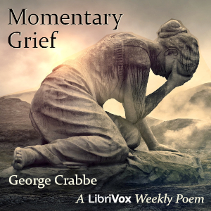 Audiobook Momentary Grief