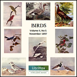 Аудіокнига Birds, Vol. II, No 5, November 1897