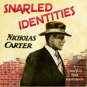 Audiobook Snarled Identities