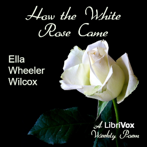 Audiobook How The White Rose Came
